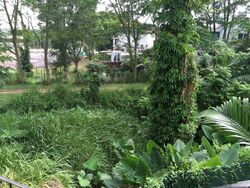 Mcmahon Park (D10), Detached #278592311